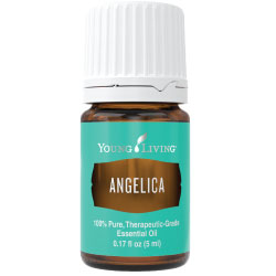 Young Living Angelica Essential Oil