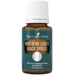 Young Living Northern Lights Black Spruce Essential Oil