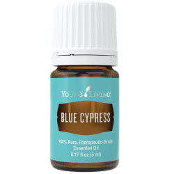 Young Living Blue Cypress Essential Oil