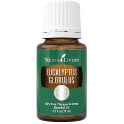 Young Living Eucalyptus Globulus Essential Oil
