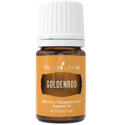 Young Living Goldenrod Essential Oil