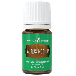 Young Living Laurus Nobilis Essential Oil