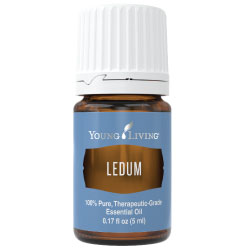 Young Living Ledum Essential Oil
