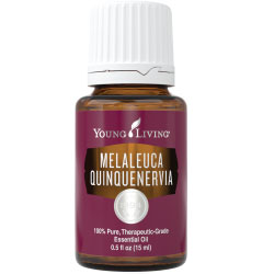 Young Living Melaleuca Quinquenervia Essential Oil
