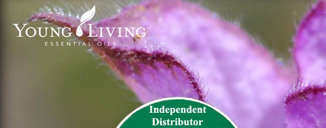 Young Living Essential oils header